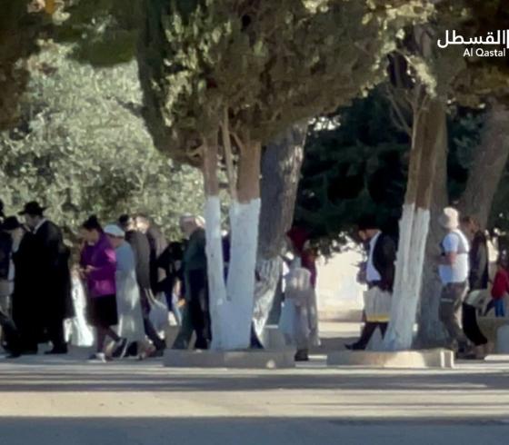 مستوطنون يقتحمون المسجد الأقصى المبارك بحراسة من قوات الاحتلال (1).jpeg