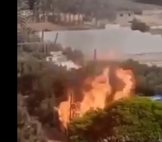 صورة من الفيديو
