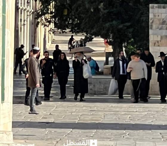اقتحام الأقصى (5).jpeg