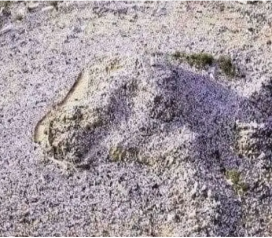 جبل عرفات.png