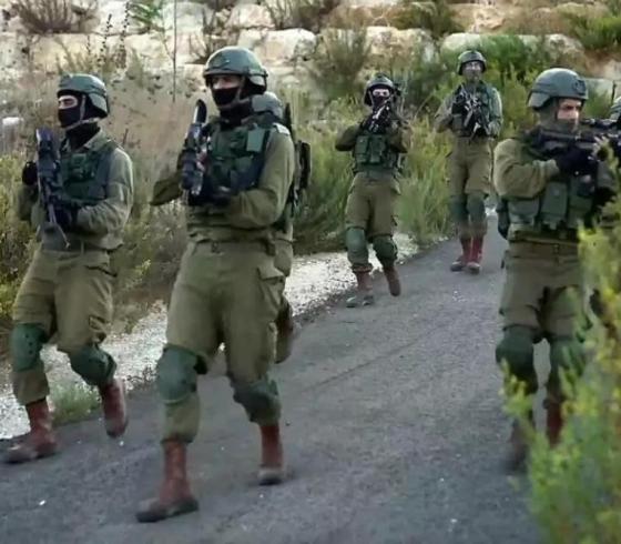 عملية عسكرية في جنين ونابلس