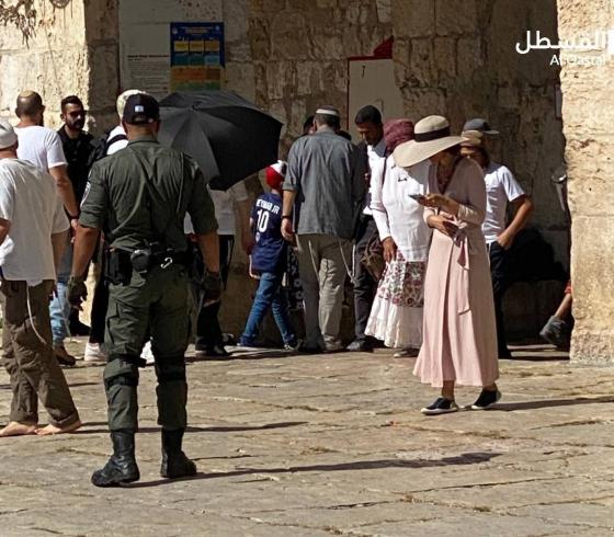 ارشيفية
