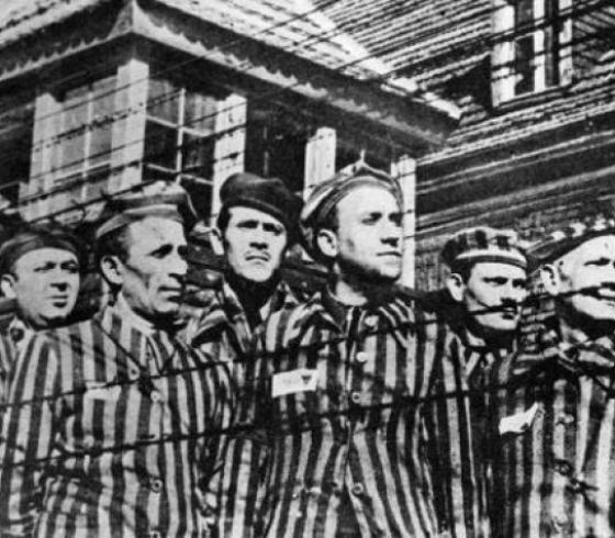 gal.ebay-holocaust.jpg_-1_-1_1.jpg