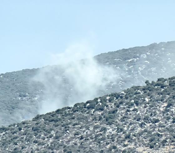 ارشيفية