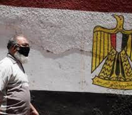 كورونا مصر