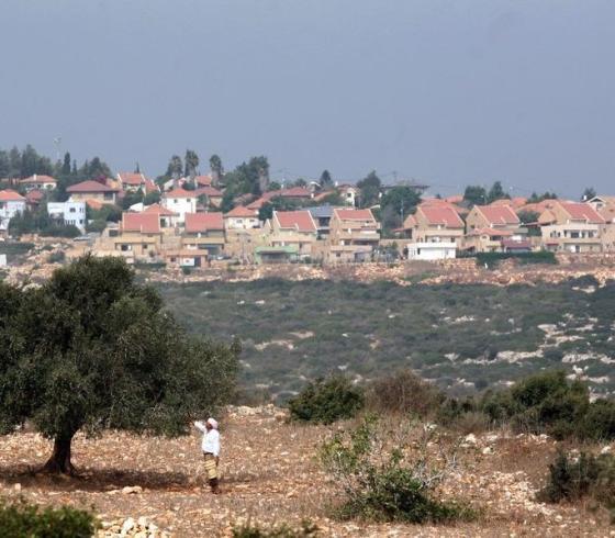 مستوطنة شاكيد