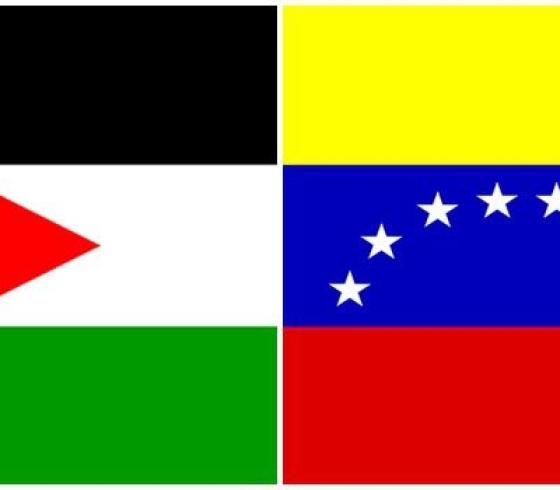 فانزويلا وفلسطين