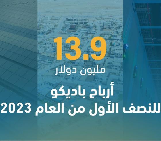 أرباح باديكو