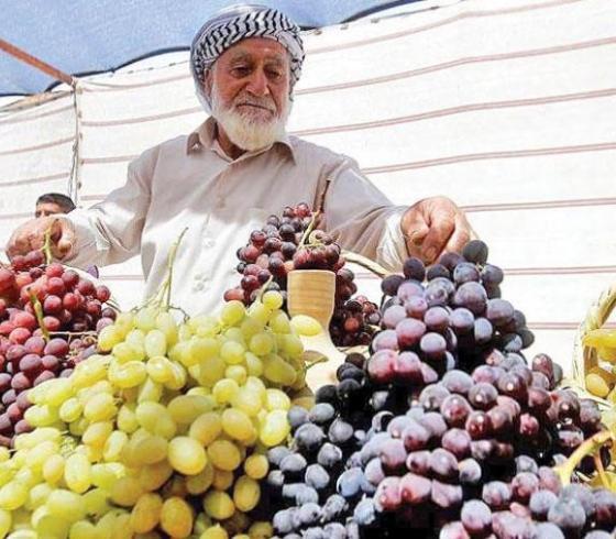 صورة ارشيفية من الانترنت