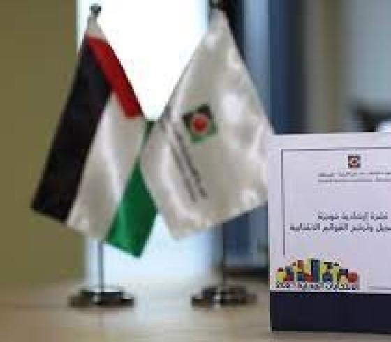 الانتخابات المحلية