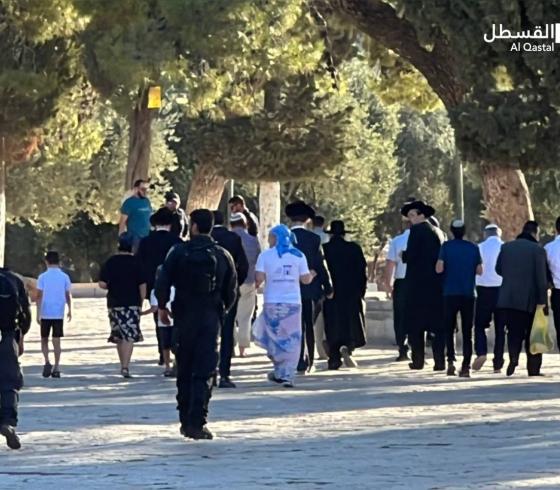 اقتحام المستوطنين للمسجد الأقصى
