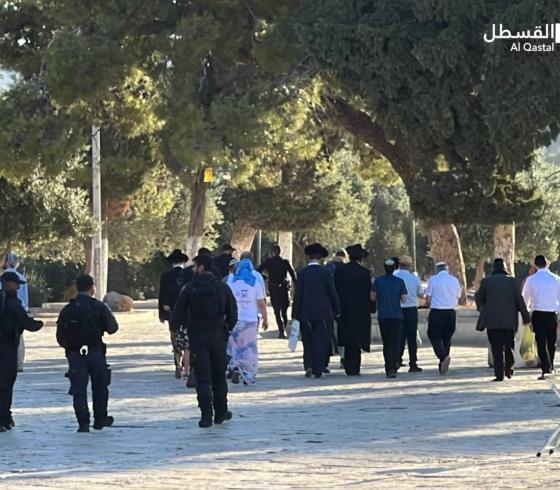 اقتحام الأقصى (20).jpeg
