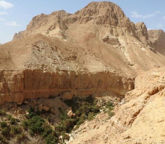 مقتل إسرائيلي في الانهيار في عين جدي