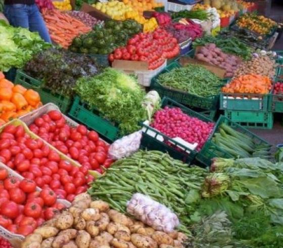 أسعار الخضروات والدجاج في غزة اليوم الأحد 6 أغسطس 2023