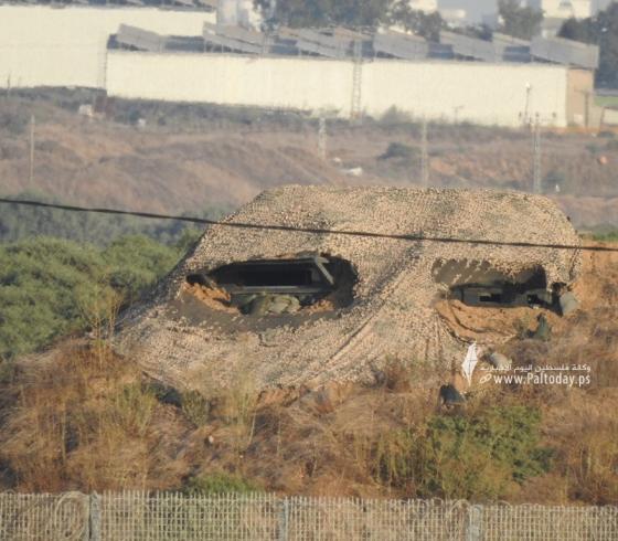 ارشيفية
