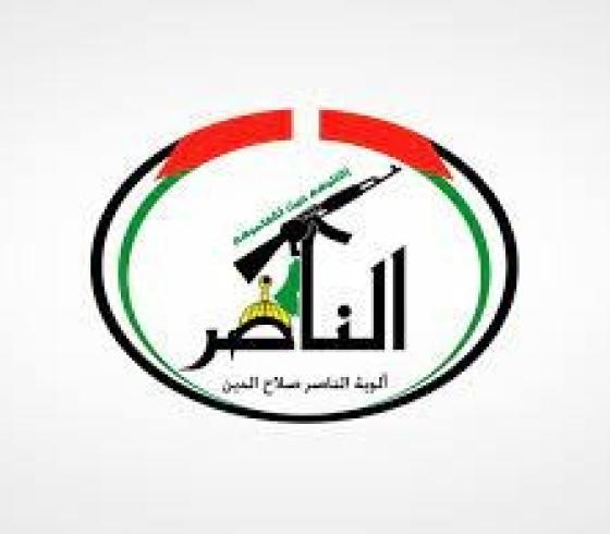 الوية الناصر.jfif