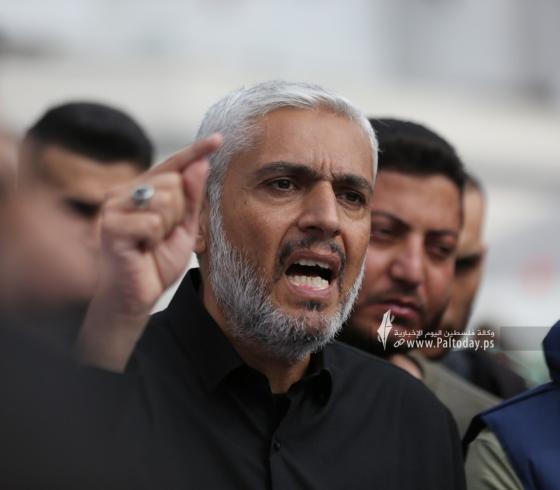 سلامة معروف