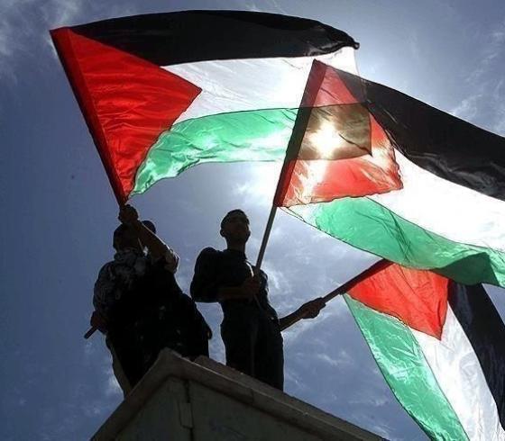 علم فلسطين12