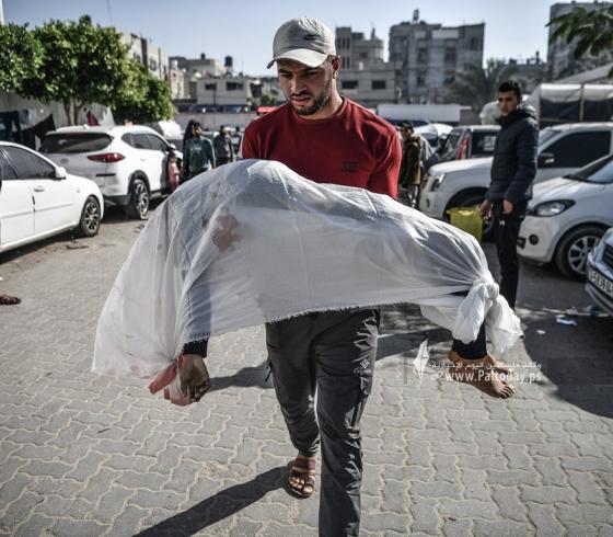 شهداء بغزة