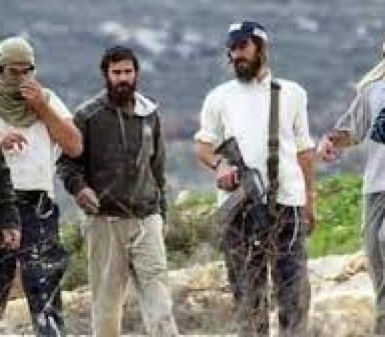 مستوطنون مسلحون في الضفة الغربية (أرشيفية)