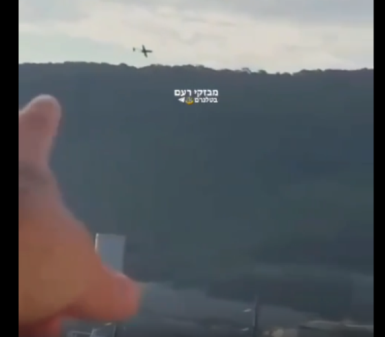 صورة من الفيديو