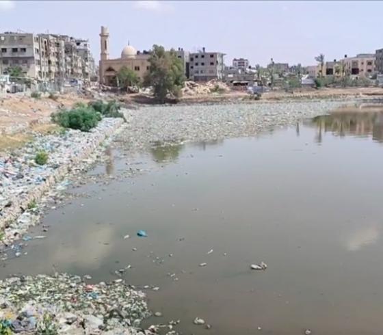 بركة الشيخ رضوان