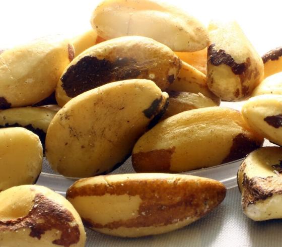جوز برازيلي