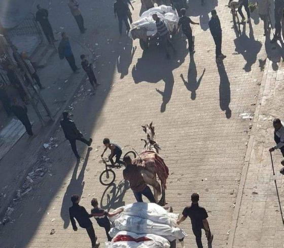 نقل الشهداء عبر العربة