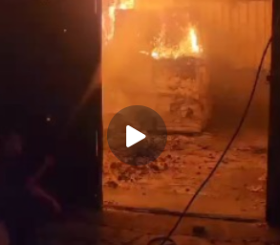 صورة من الفيديو