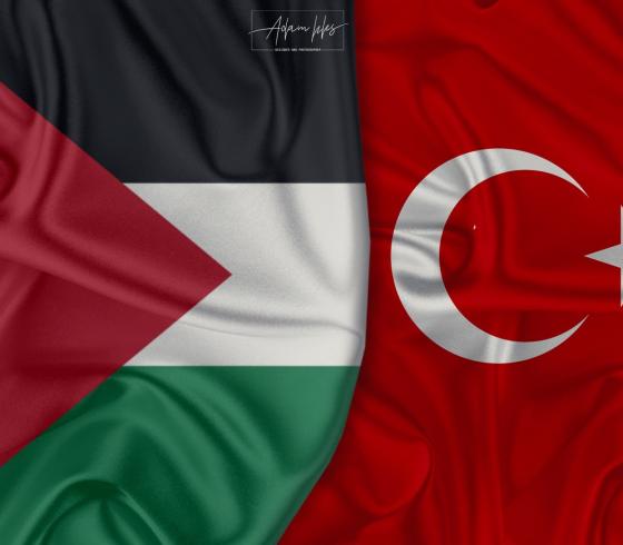 تركيا وفلسطين
