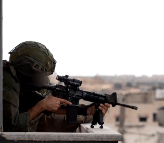 ارشيفية