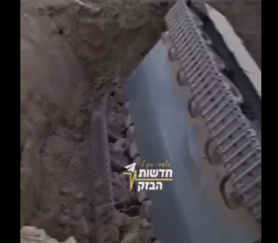ارشيفية