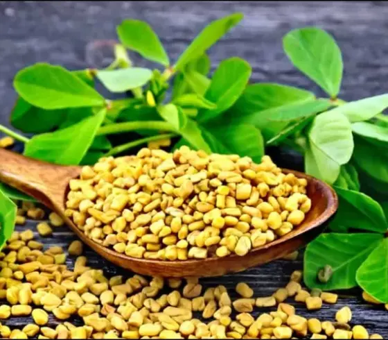 فوائد الحلبة الصحية