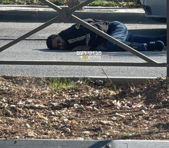 صورة من المكان
