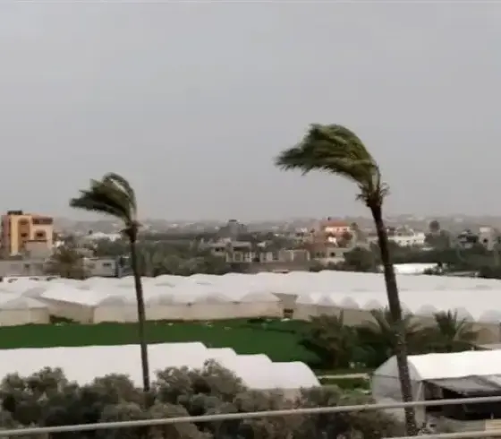 طقس فلسطين