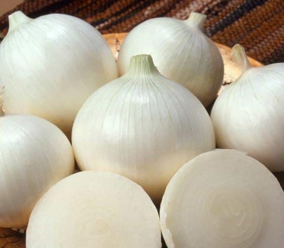 فوائد البصل الأبيض
