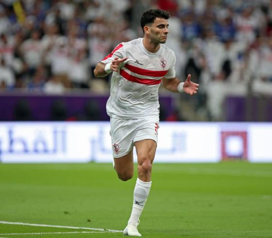 أحمد السيد زيزو