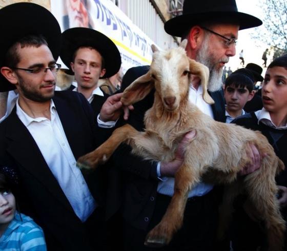 محاولة ذبح القربان في الأقصى