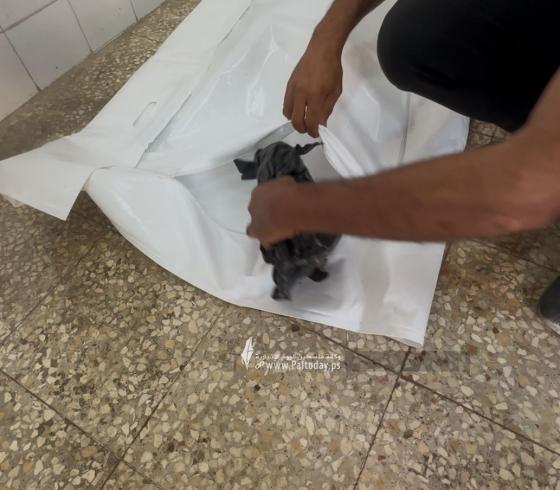 جنين ريهام أبو هين (1).jpeg