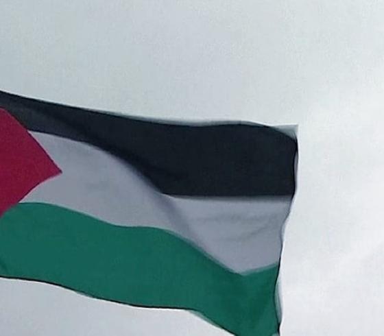 علم فلسطين