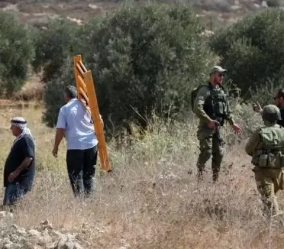 مستوطنون يخاجمون قاطفي الزيتون في نابلس
