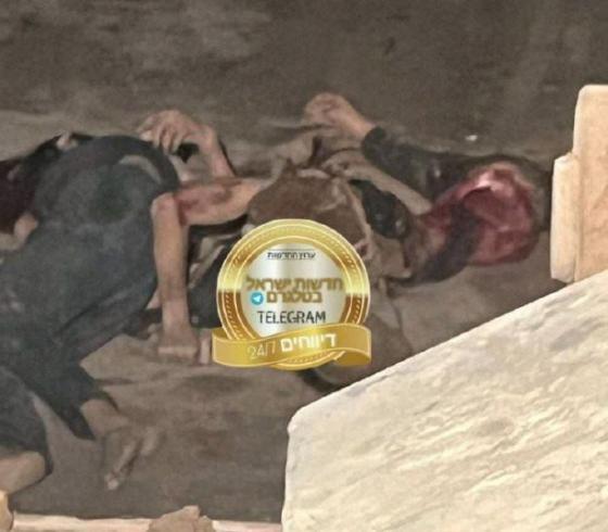جثامين رفح