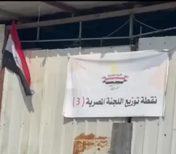 اللجنة المصرية