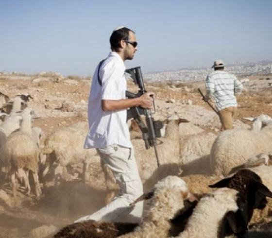 مستعمرون يهاجمون مساكن المواطنين في مسافر يطا