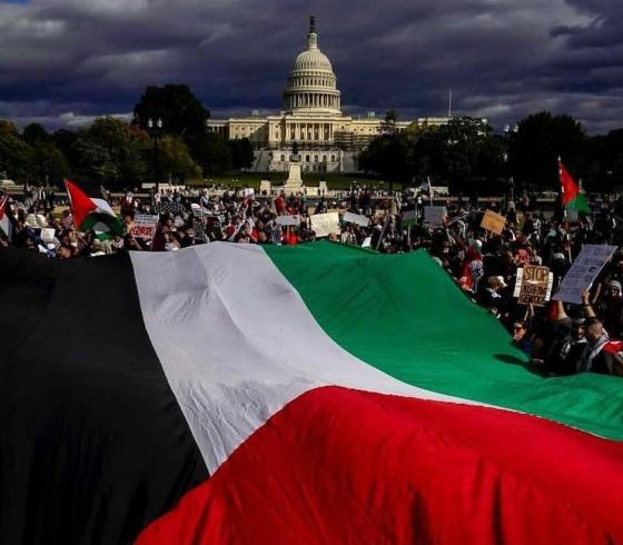 مؤيدو فلسطين في أمريكا