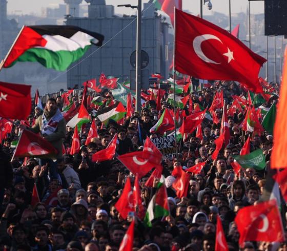 تركيا (1)