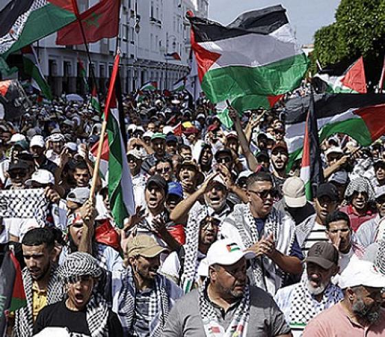 انتفاض المغرب دعما لغزة