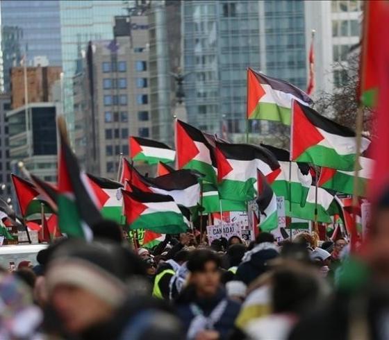 متضامنون مع فلسطين