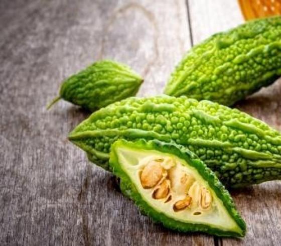القرع المر