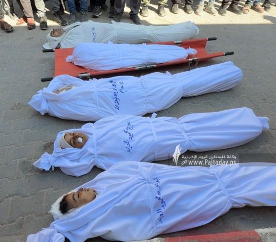 شهداء غزة